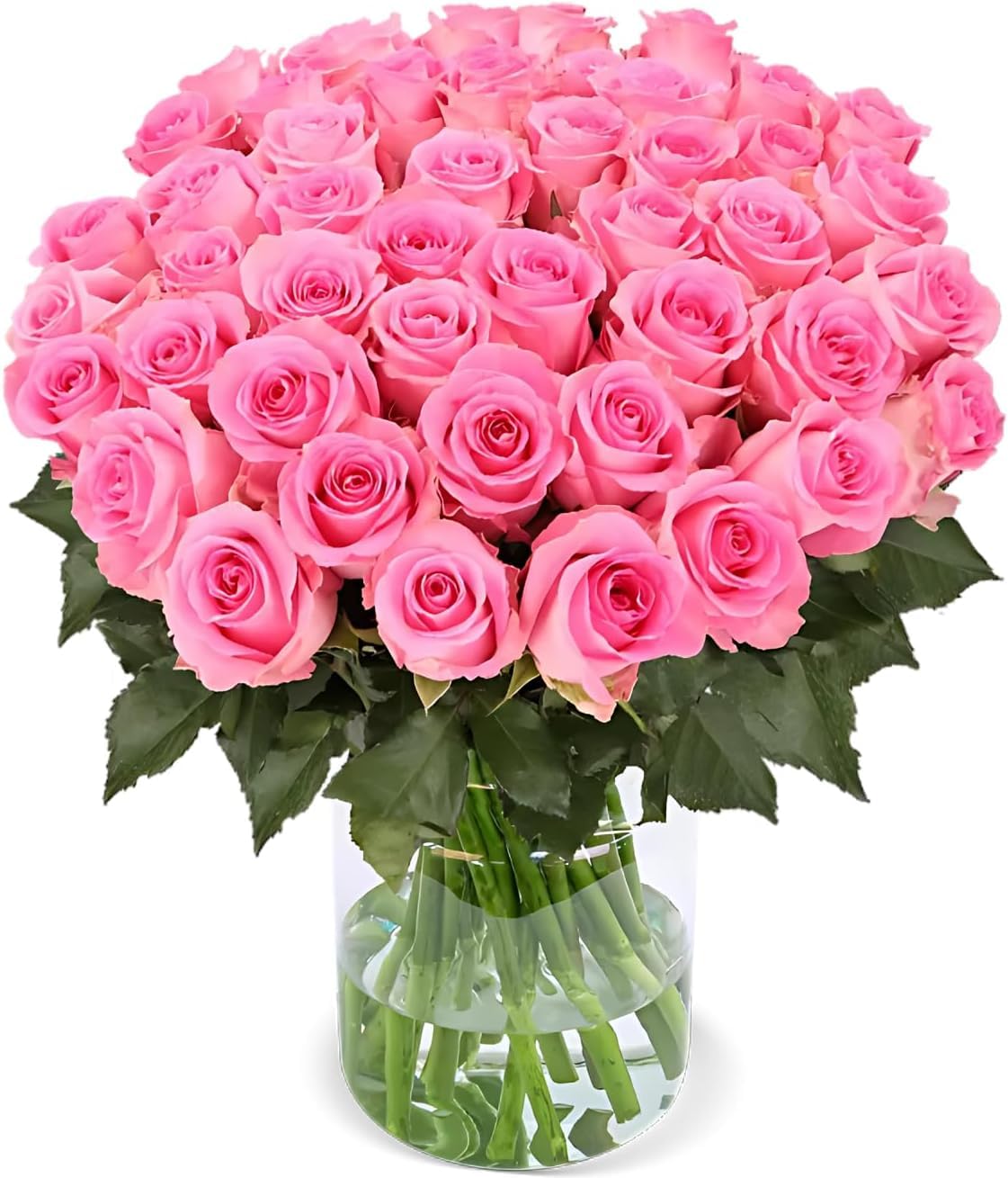 Blume Ideal Rosenstrauß - Rosen in verschiedenen Farben und Mengen - Ø 40–50 cm - Echte premium Blumen für Hochzeit & Deko - 7 Tage Frischegarantie