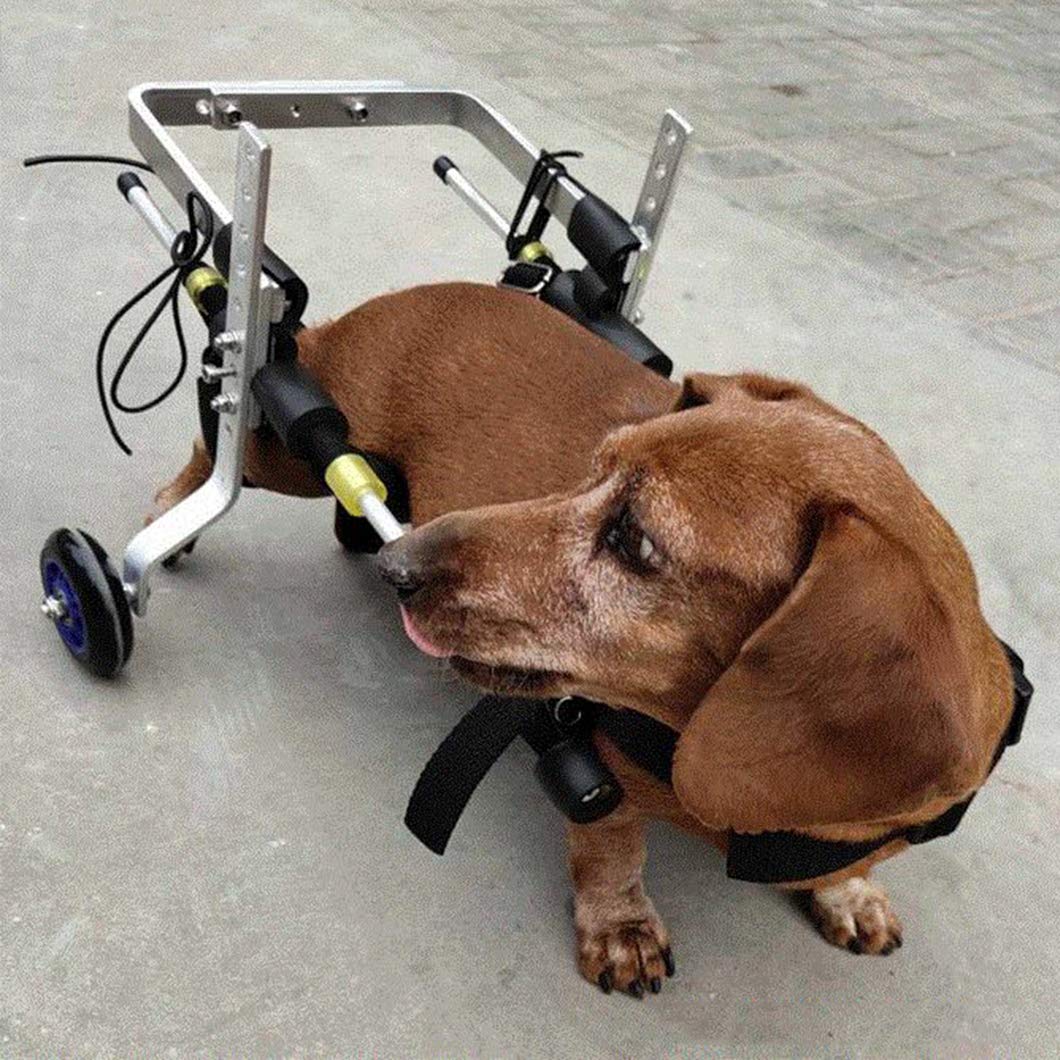 Verstelbare 2 wielen hond rolstoel voor kleine hondjes,XL-2
