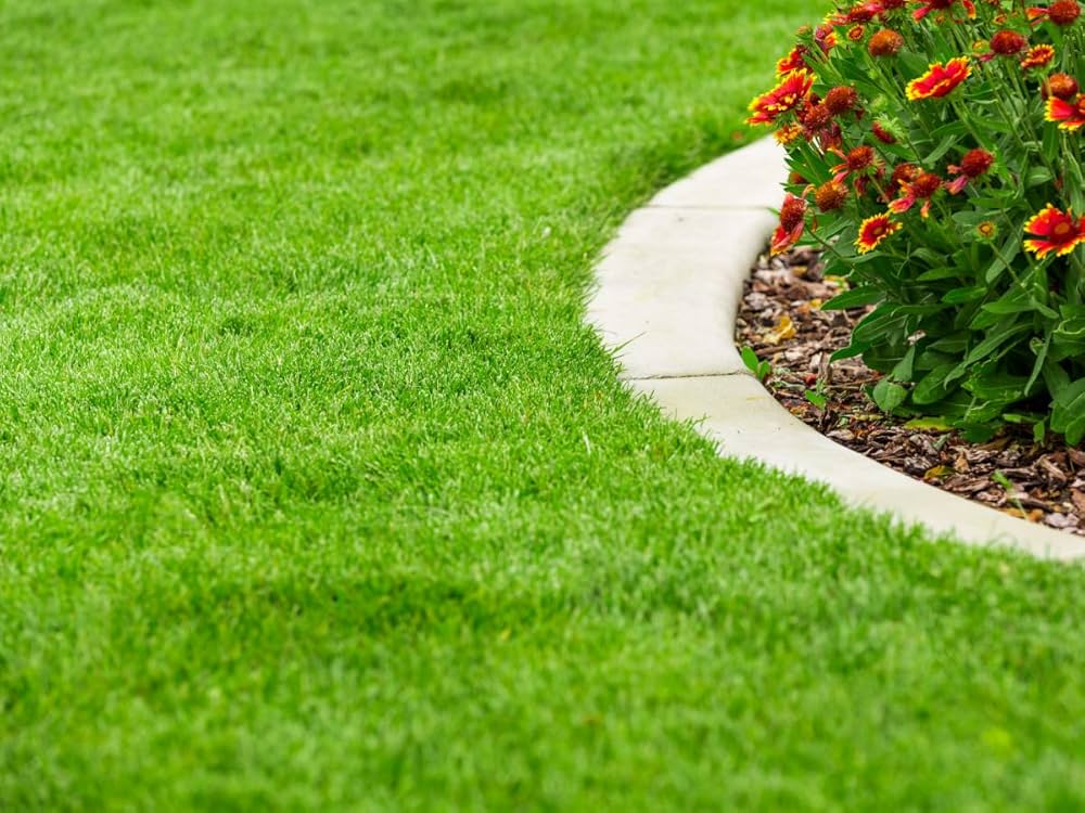 Césped Natural () Césped Natural