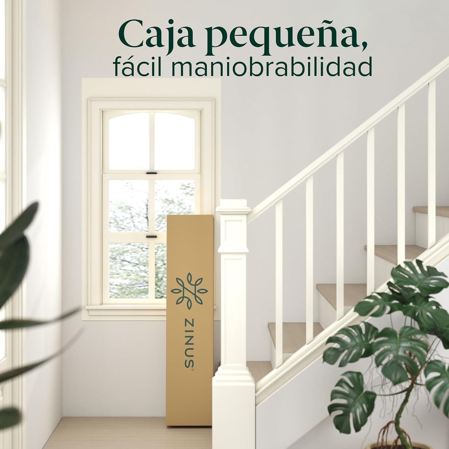 Zinus bed frame box being carried up stairs