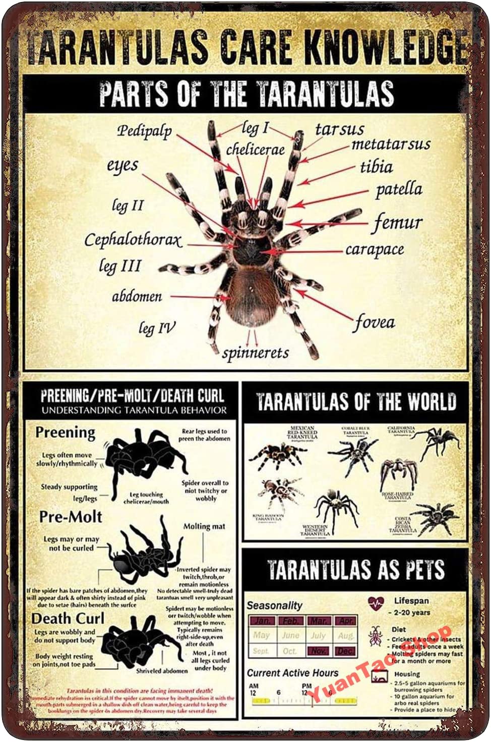 Tarantula Care Knowledge Tarantulas As Pets Tarantulas of The World Funny Tin Sign Bar Pub Diner Cafe Wall Decor Home Decor Art Poster Retro Vintage 8x12 Inches
