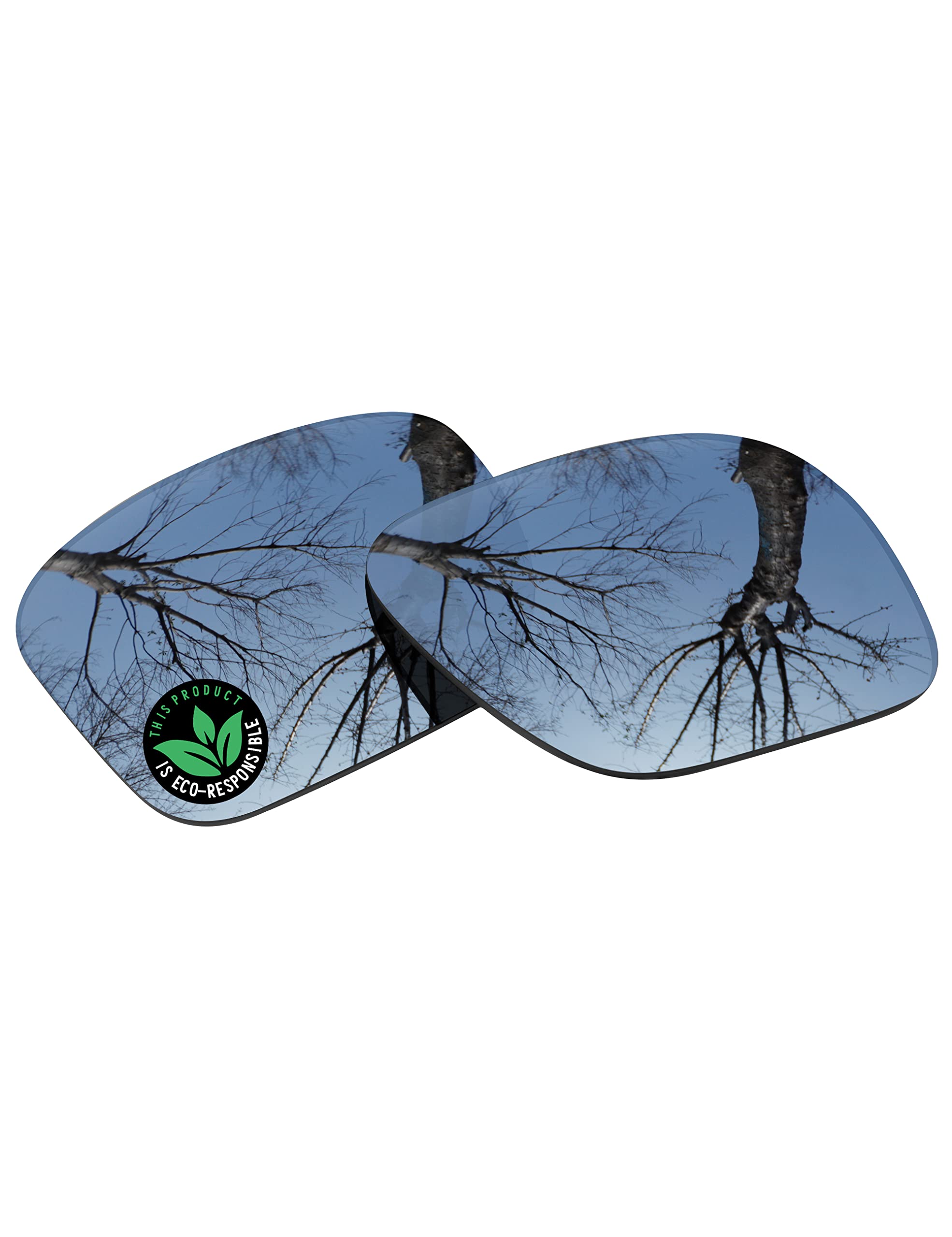 Raydi Verres de rechange en polycarbonate pour lunettes de soleil électriques Swingarm XL
