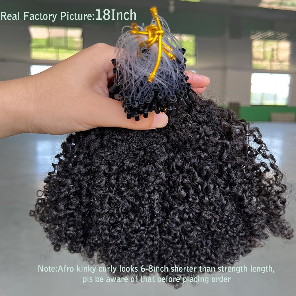 Micro Loop Human Hair Extensions 12 Inch 70g Afro Kinky Curly Virgin Hair MICRO CROCHET ™ Best natural texture! **Style: PRISTINE  main image 3