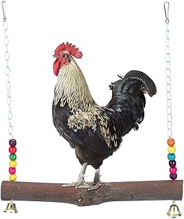 Hanging Toy, Sanitary Chicken Swing, for Bedroom Home(Chicken Swing, Blue)