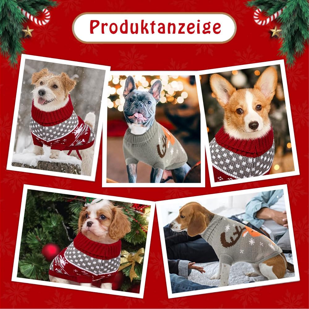 Voor hond, kat én konijn - Snel en eenvoudig