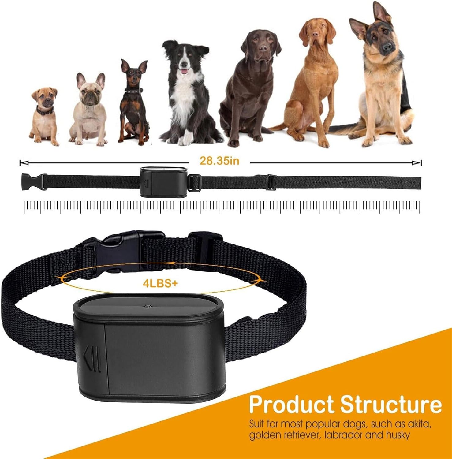 Receiver collar with dimensions and dog size compatibility