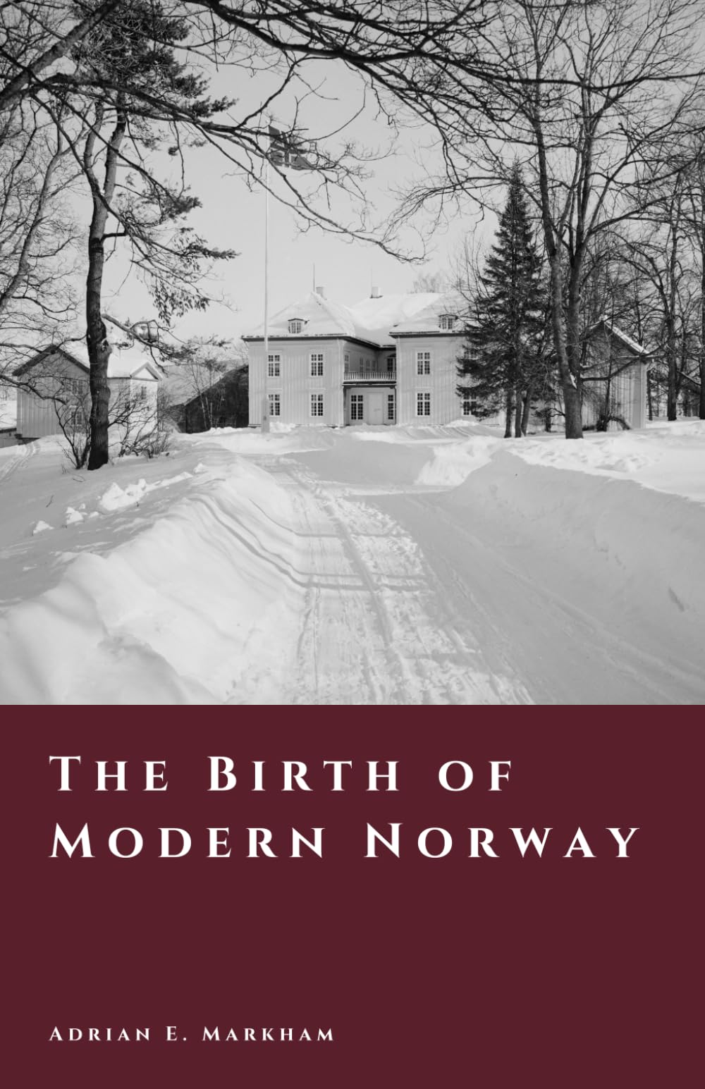 The Birth of Modern Norway: Constitution, Union, and National Awakening (The Story of Norway)
