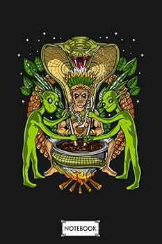 その他 Ayahuasca &amp; the Path of the Shaman [DVD] Amazon.com: Ayahuasca and The Path of the Shaman : Todd