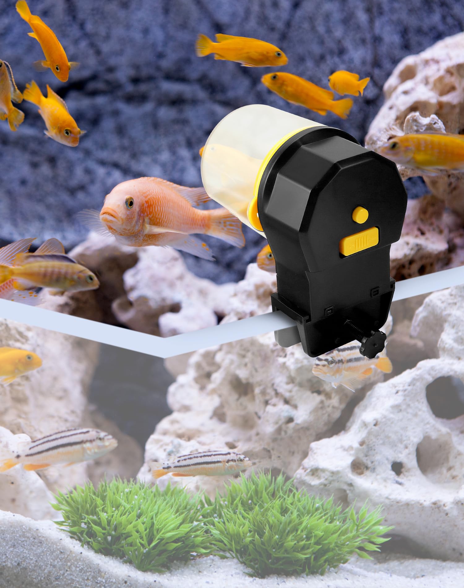 QWORK® Alimentador automatico Acuario, Comedero Peces de Vacaciones con Temporizador, 12/24 Horas alimentación Regular, 210ml Gran Capacidad