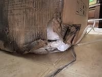 Review Image by Nancy W Nancy W