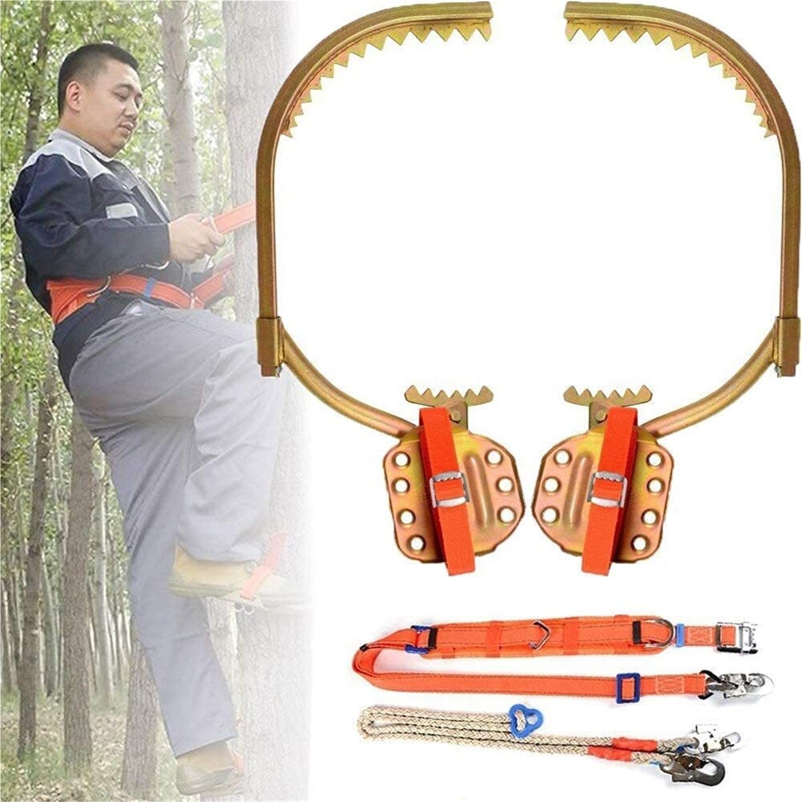 Ramponi da Arrampicata Regolabili in Acciaio Inossidabile con Pedali Antiscivolo – Modello 550 Resistente per Caccia, osservazione, Raccolta di Frutta e Avventure all'Aria Aperta – Attrezzat