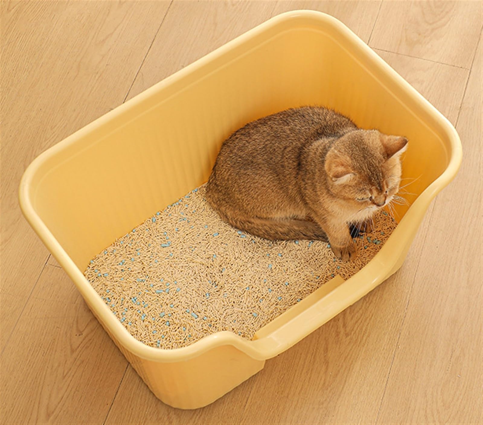 Katzentoilette Katzenklo Katzentoiletten Mit Hohen Seiten, Offene Katzentoilette, Katzenstreu Mit Erhöhten Kanten Für Den Innenbereich Reisetoilette Katze(Purple)