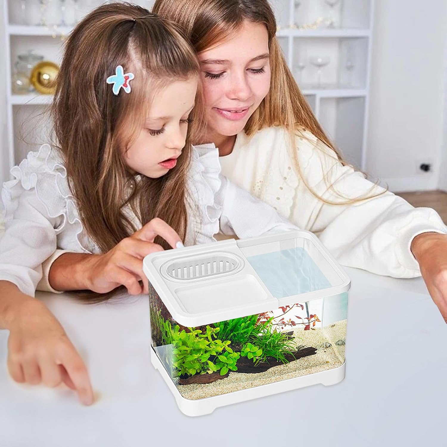 Betta Fish Aquariums - Small Fish Tank Kit, Clear Landscape Bowl with Feeder, Durable Design | Aquarium for Shrimp Guppy Snails Turtle Jellyfish Pet Lovers Beginners Desktop Apartment