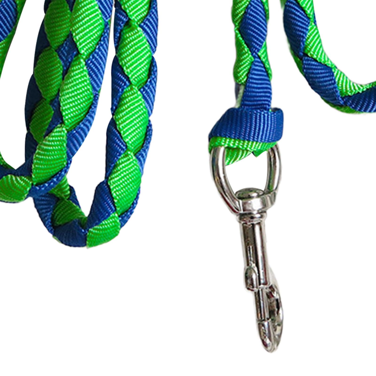 Corda per Cavallo con Attacco a Clip Sicuro, 2.5 m Verde e Blu