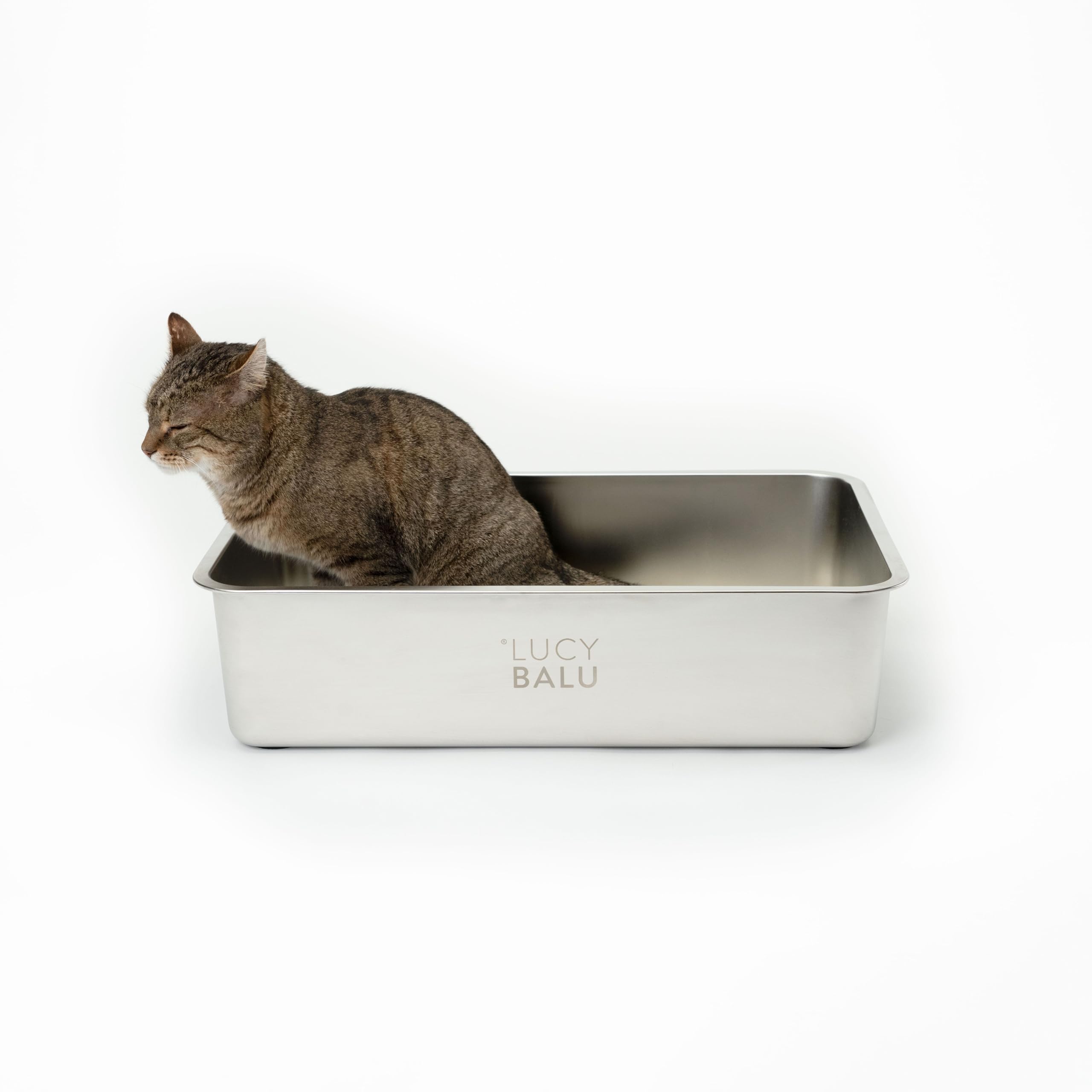 LucyBalu® STEELOO Katzenklo aus Edelstahl I XXL Katzentoilette ohne Deckel mit hop-in Oben-Einstieg I hygienisch, geruchsfrei & leicht zu reinigen I 59,5 × 39,5 × 15,5 cm I Edelstahl
