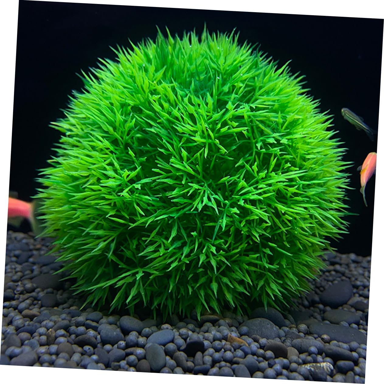 MAGICLULU 6stücke Aquarienpflanzen Wasserpflanzen Simulierte Grasball-Dekoration Für Fischbehälter Teich Und Aquarienlandschaft Und Für Fische