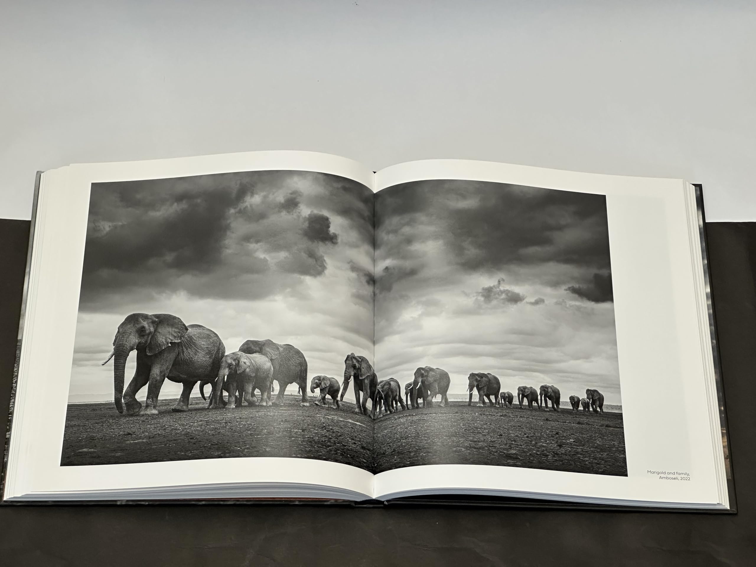 Walk the Earth: Federico Veronesi