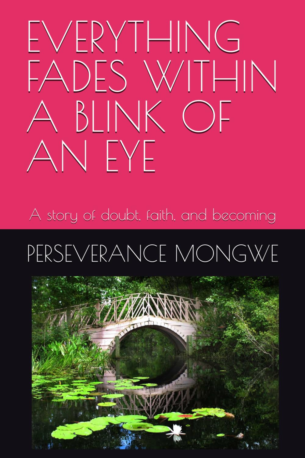 EVERYTHING FADES WITHIN A BLINK OF AN EYE: A story of doubt, faith, and becoming