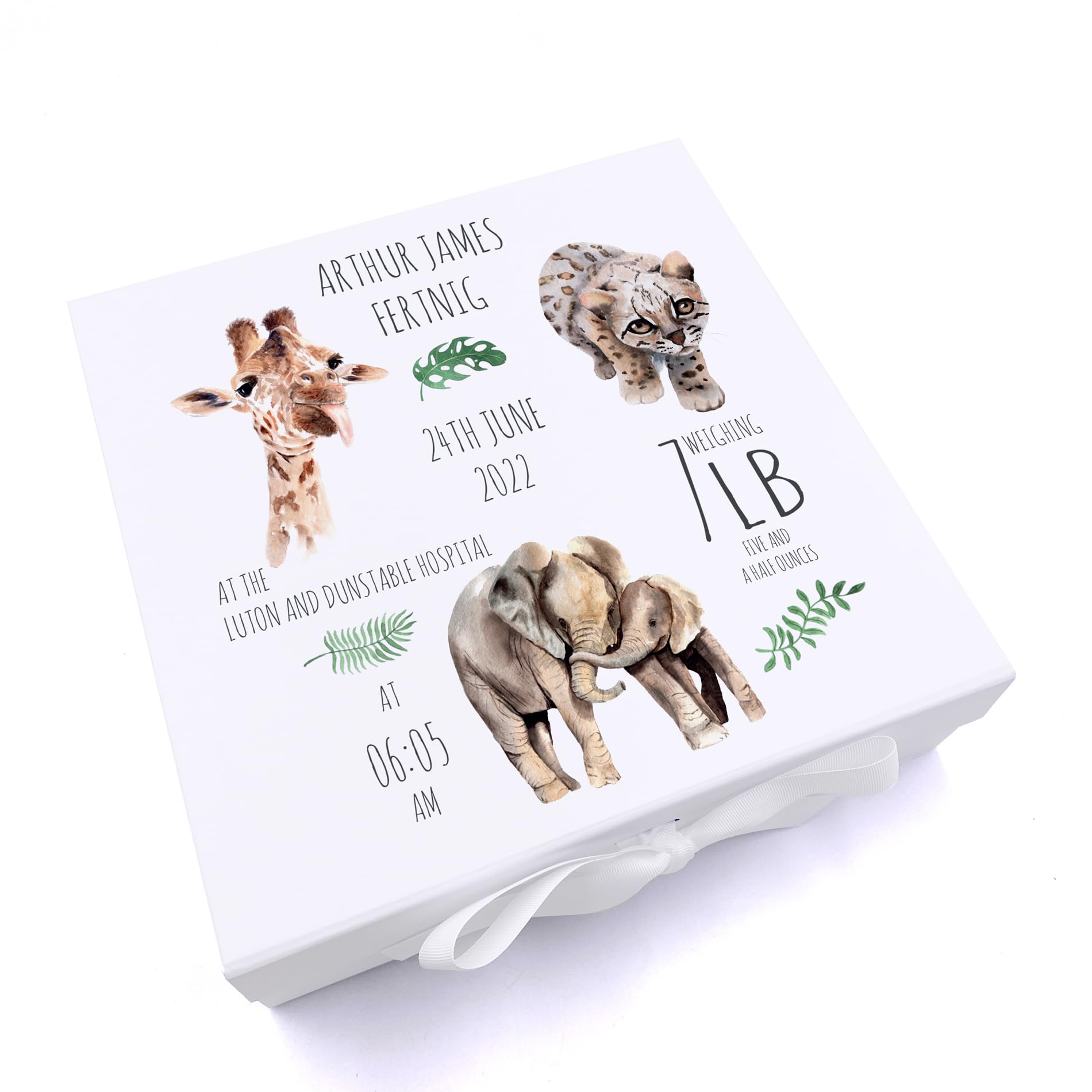 ukgiftstoreonline Personalised Safari Animal New Baby Keepsake Box Gift (Large)