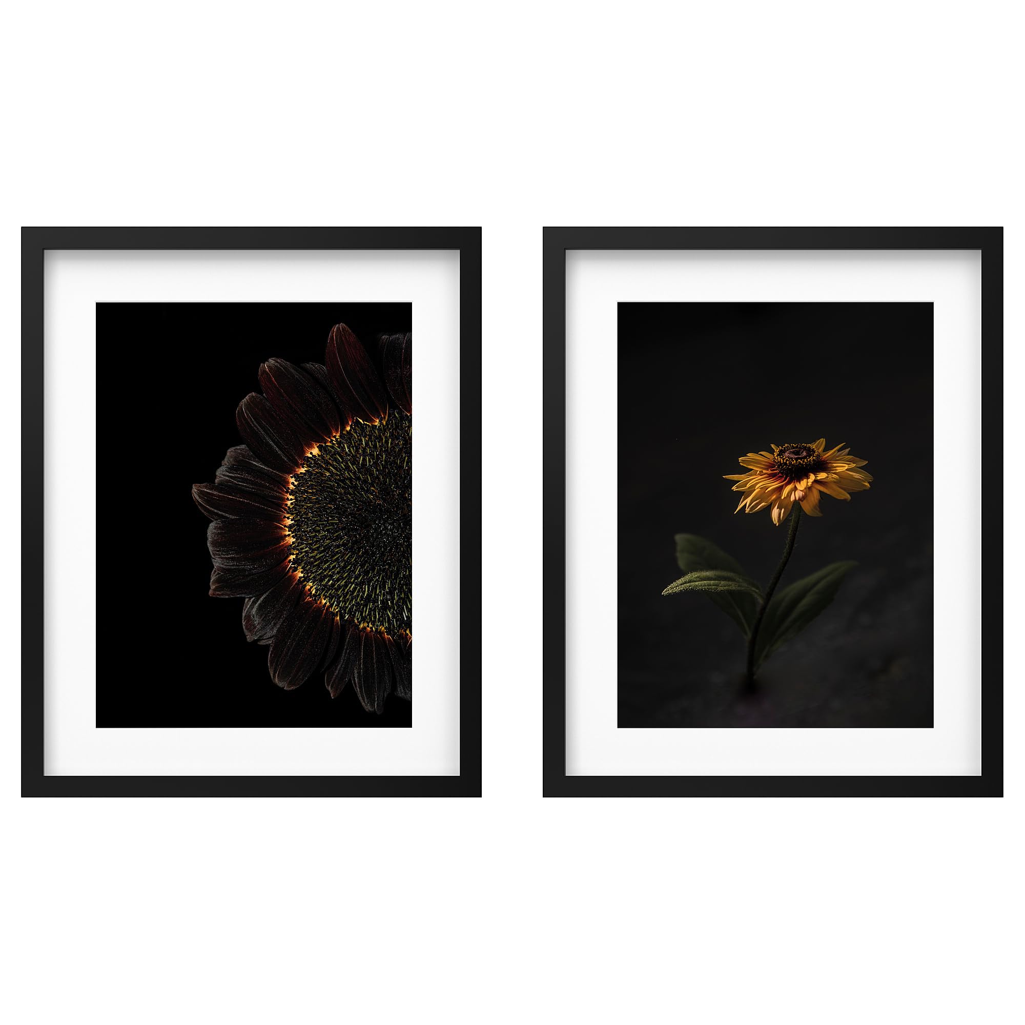 Poster tournesols RÖDALM avec cadre 40x50 cm pour une ambiance chaleureuse