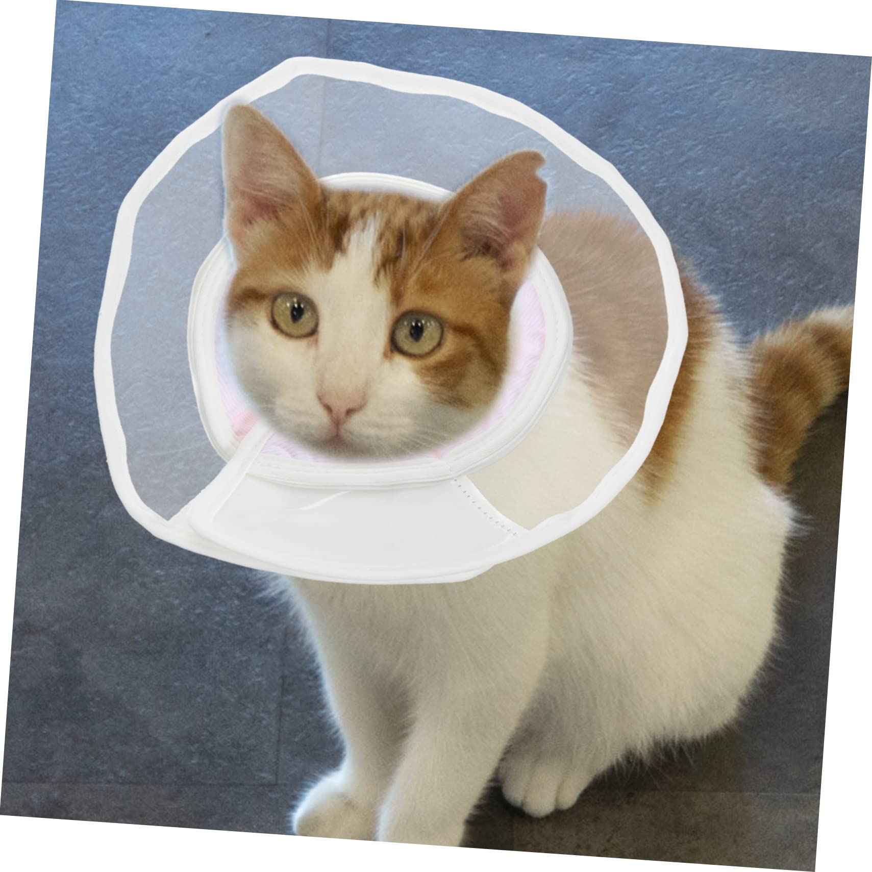 minkissy Collar Anti-mordida 3 Piezas Collar De Cono Compuesto Perro Almohada Cono Collar Anti Lametones para Gatos Cono De Gato Suministro De Mascotas De Cuello De Polivinilo Sombrerería
