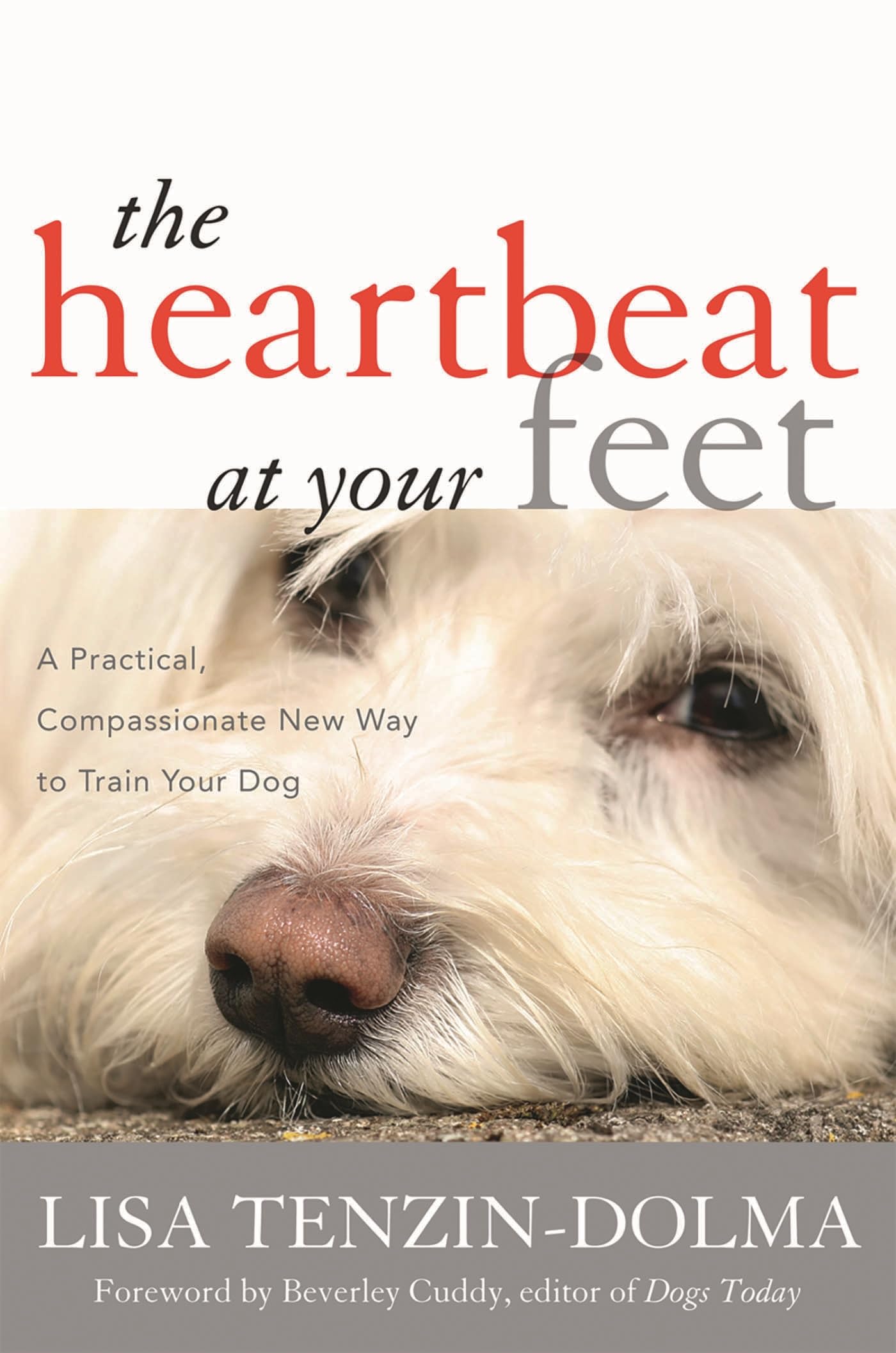 The Heartbeat at Your Feet: A Practical, Compassionate New Way to Train Your Do