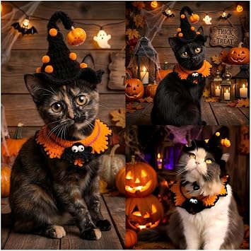 Halloween Pet Costume,Spider & Black Witch Hat for Cats and Small Sized Dogs,Hand-Knit Festive Halloween-Themed Cat Apparel,Dog Halloween Outfits,Cat Witch Costume