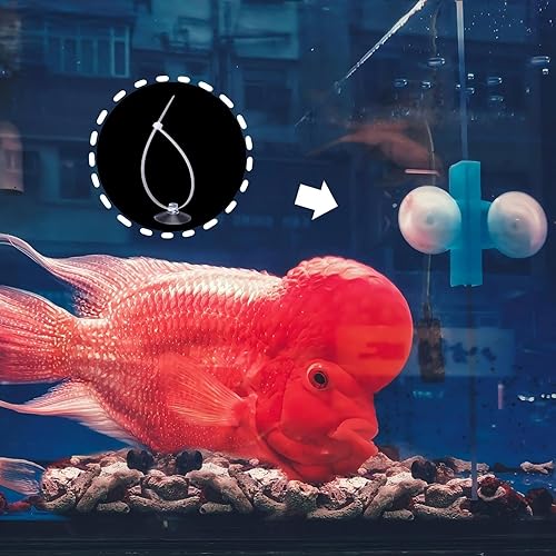 30 Pcs Suction Cups with 50 Pcs Adjustable Zip Ties 25mm & 35mm Aquarium Suction Cups Rubber Sucker Pad for Home Garden Fish Tank Tubing Binding Moss Shrimp Nest Decorations