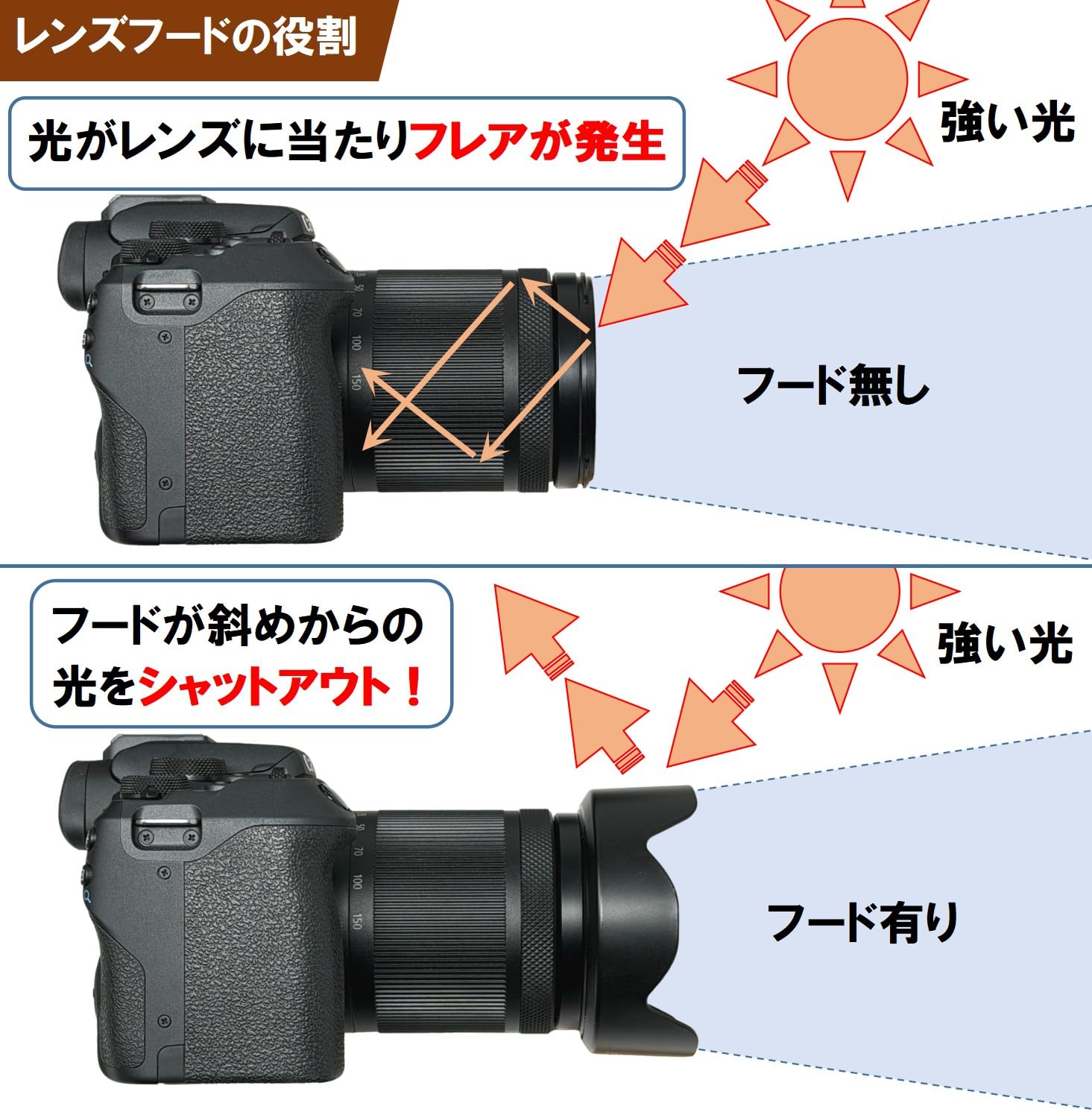 Amazon | F-Foto EW-55 互換フード (適合レンズ: キヤノン RF 28mm F2