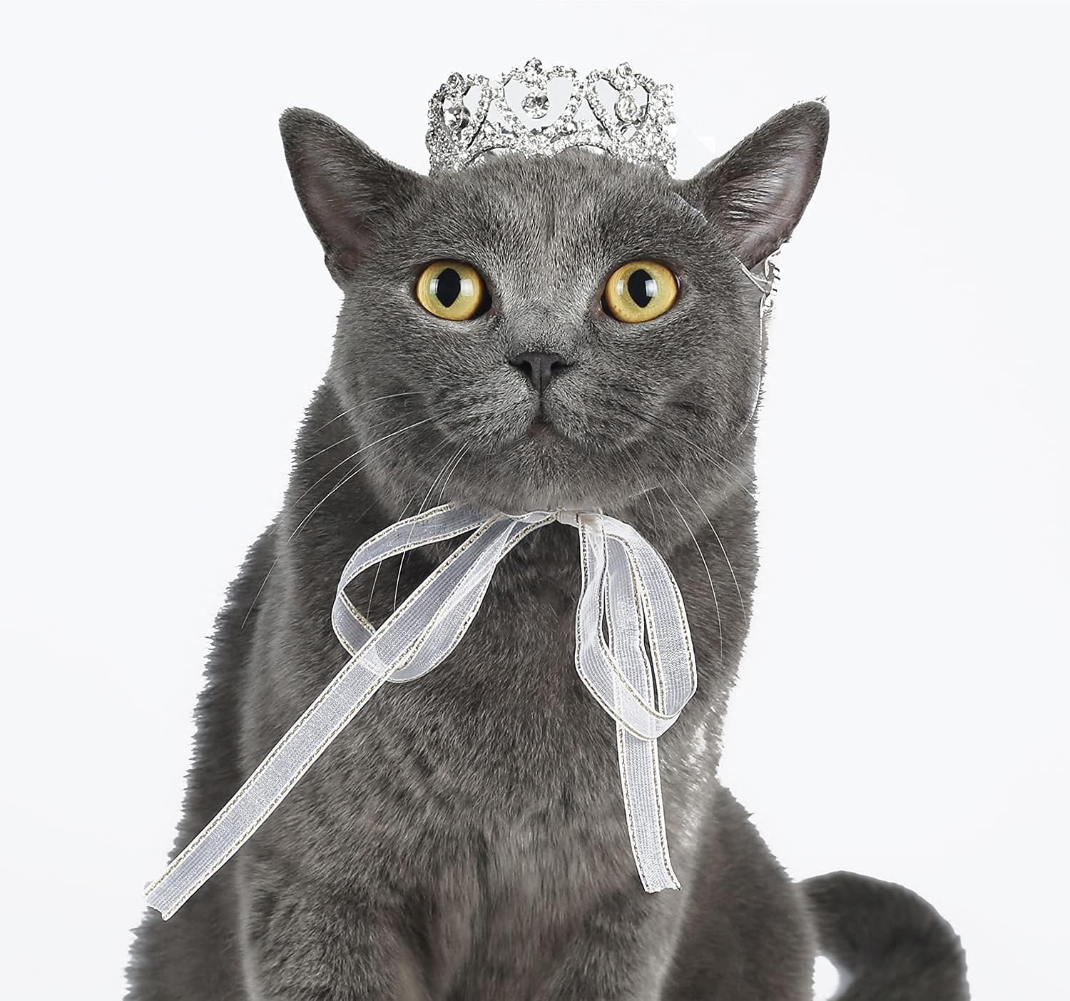 Lovelyshop Pet Series Royal Rhinestone Mini Full Round Dog/Cat Crown for Costume Small Dog Hair Accessories-