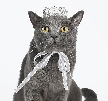 Lovelyshop Pet Series Royal Rhinestone Mini Full Round Dog/Cat Crown for Costume Small Dog Hair Accessories-