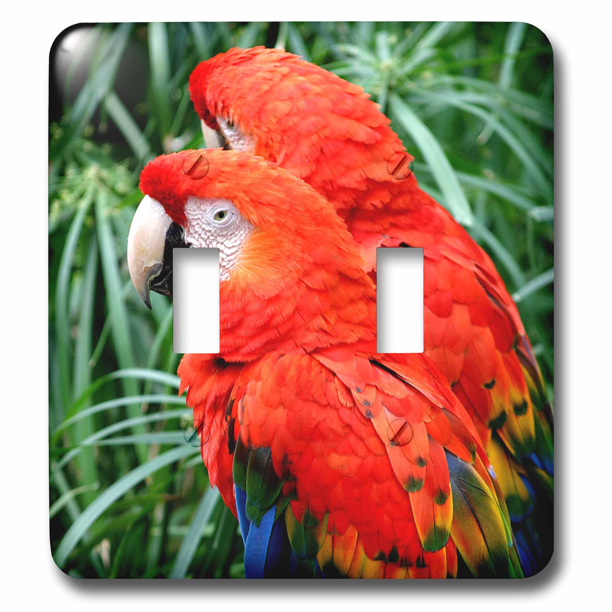 Interrupteur à baïonnette motif oiseaux exotiques et grand perroquet multicolore