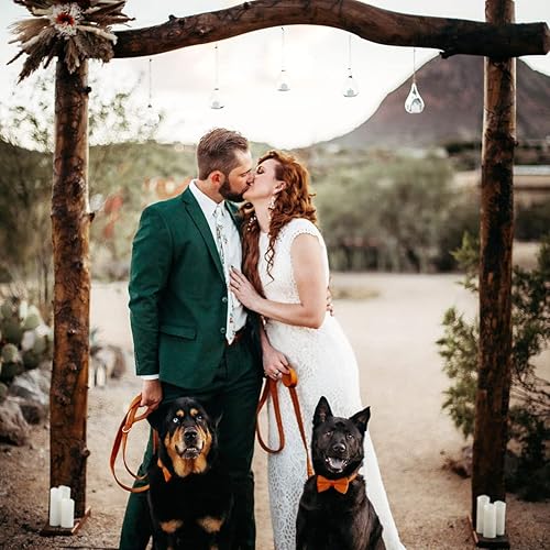 Miniatura 6 de Collar de terciopelo para perro personalizado con nombre, número de teléfono grabado, collares personalizados para mascotas con hebilla de metal