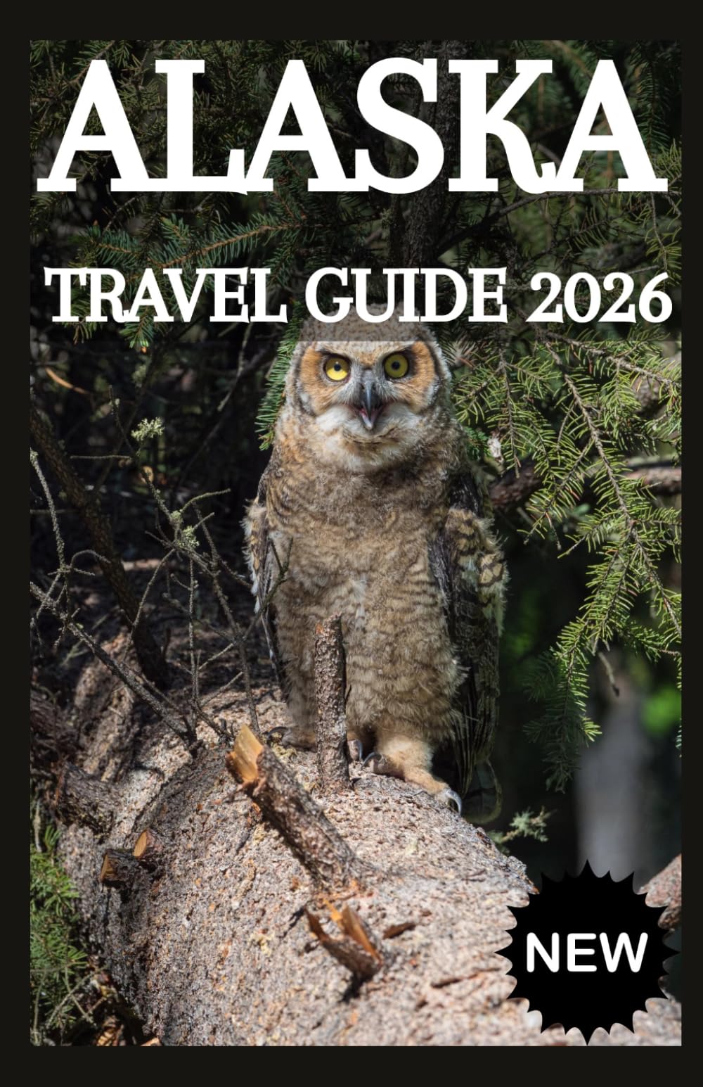 ALASKA Travel Guide 2026