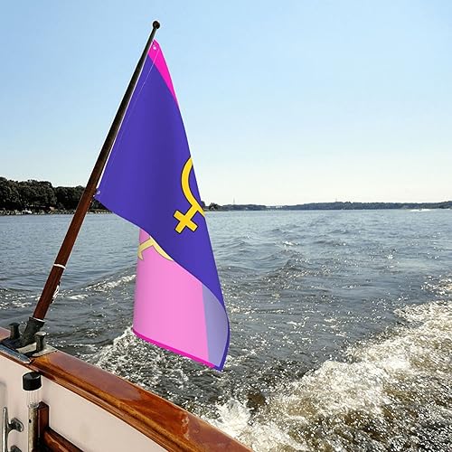 Miniatura 5 de Bandera de orgullo heterosexual heterosexual de 3 x 5 pies, resistente a la decoloración UV, bandera de jardín para exteriores con ojales