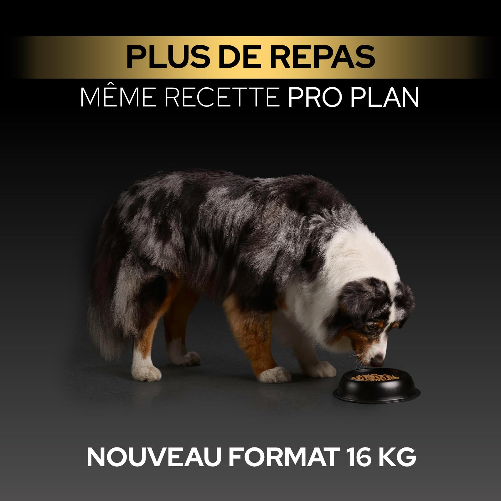Purina Pro Plan Sensitive Digestion - Croquettes Chien Moyen Agneau - 16 kg | Croquettes Chien Moyen Digestion Sensible Saveur Agneau - Microflore renforcée via prébiotiques - Alimentation Chien