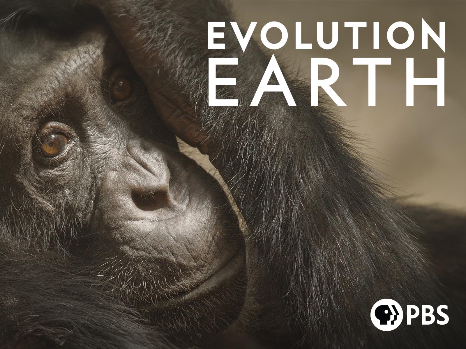 Evolution Earth, Season 1