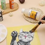 Mont Marte Gloss Acrylic Varnish Signature 250ml (8.5 US fl. oz), Acrylic Paint Varnish, Seals and Protects Artworks from Dust, Light, Archival Finishing Varnish, Dries Clear