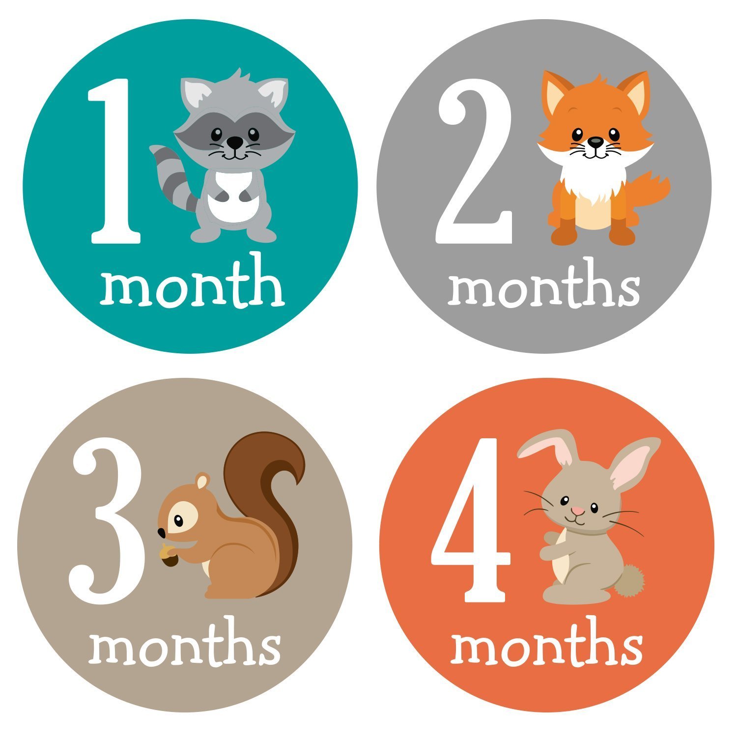 baby boy milestone onesies