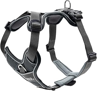 HUNTER DIVO Dog Harness, S–M, 52–68 cm, Grey/Grey product image