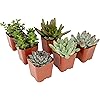 Product Photo 9