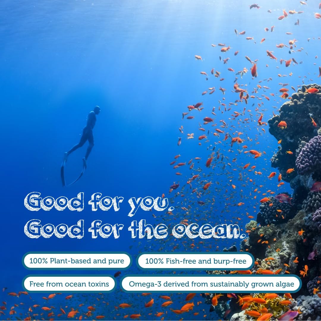 Testa Omega-3 Supplement - Vegan Based Omega 3 DHA EPA Capsules from Algae - Omega 3 Fatty acids - Supports Heart, Brain & Joint Health - Plastic Negative, RTG, and Kosher - Two Months Supply - Image 6