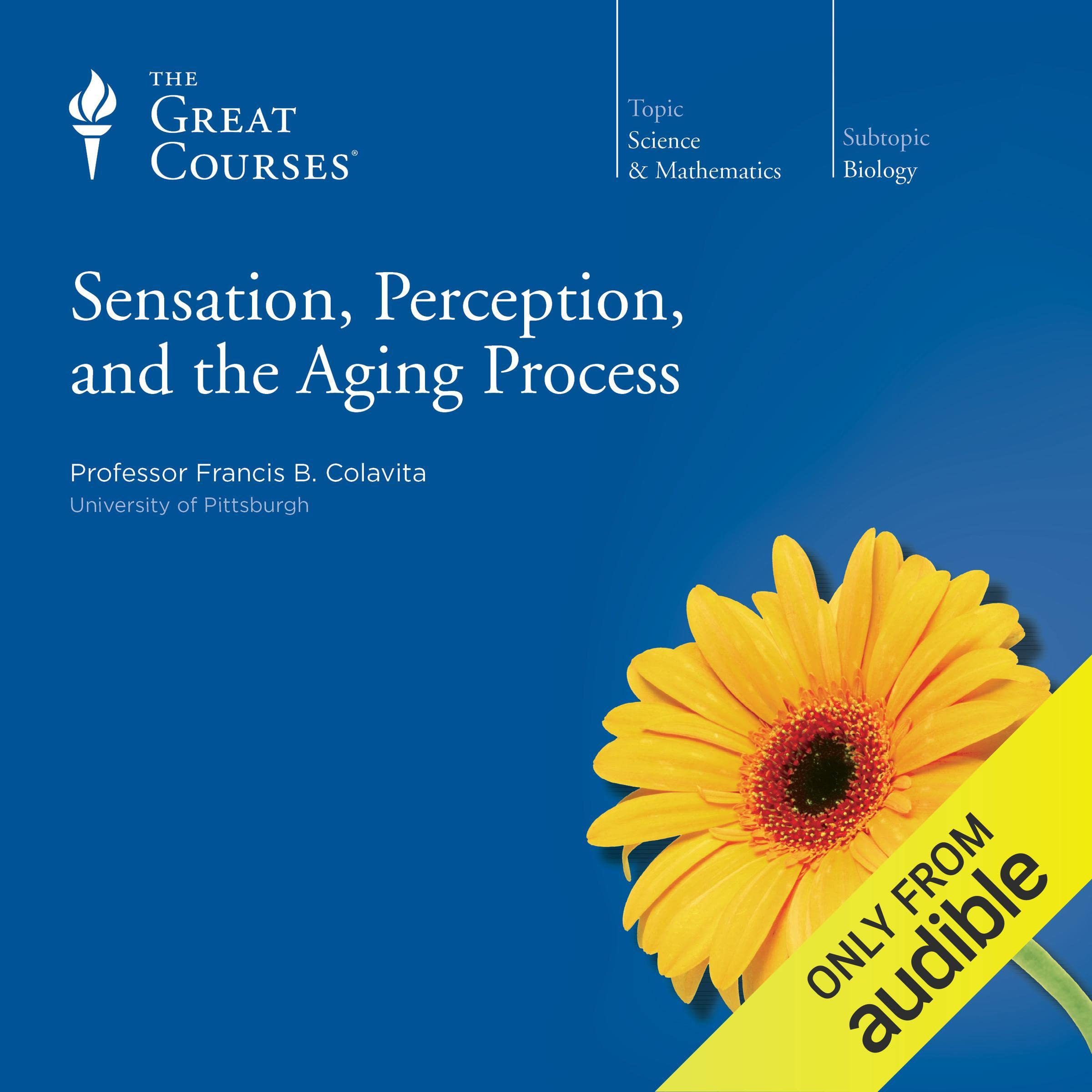 Cover art for Sensation, Perception, and the Aging Process