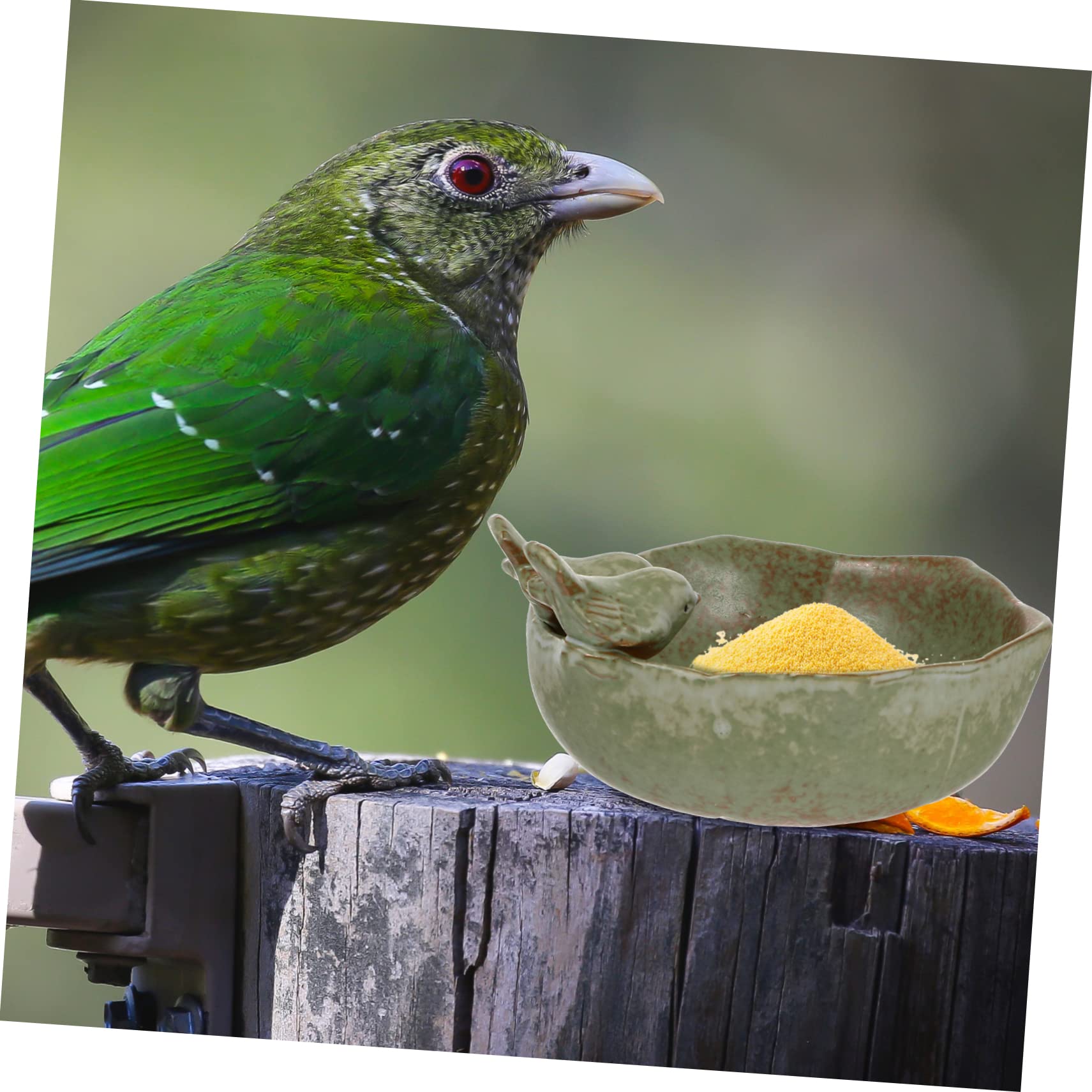 BESPORTBLE 2 Piezas Comedero para Pájaros De Cerámica Cúpula Al Aire Sebo Decoración Solar Cardenal Comederos Hambriento Bol Hogar Paloma Alpiste Alimentador Agua Lámina Pequeño Salvaje