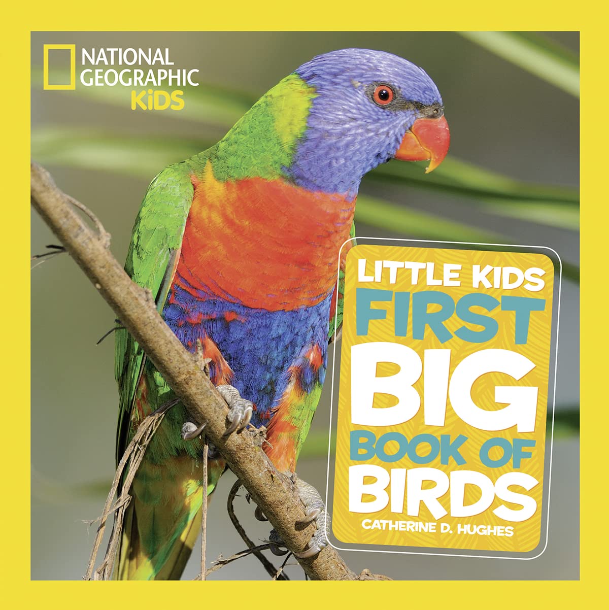 National Geographic Little Kids First Big Book of Birds (National Geographic Little Kids First Big Books) National Geographic Little Kids First Big Book of Birds (National Geographic Little Kids First Big Books)