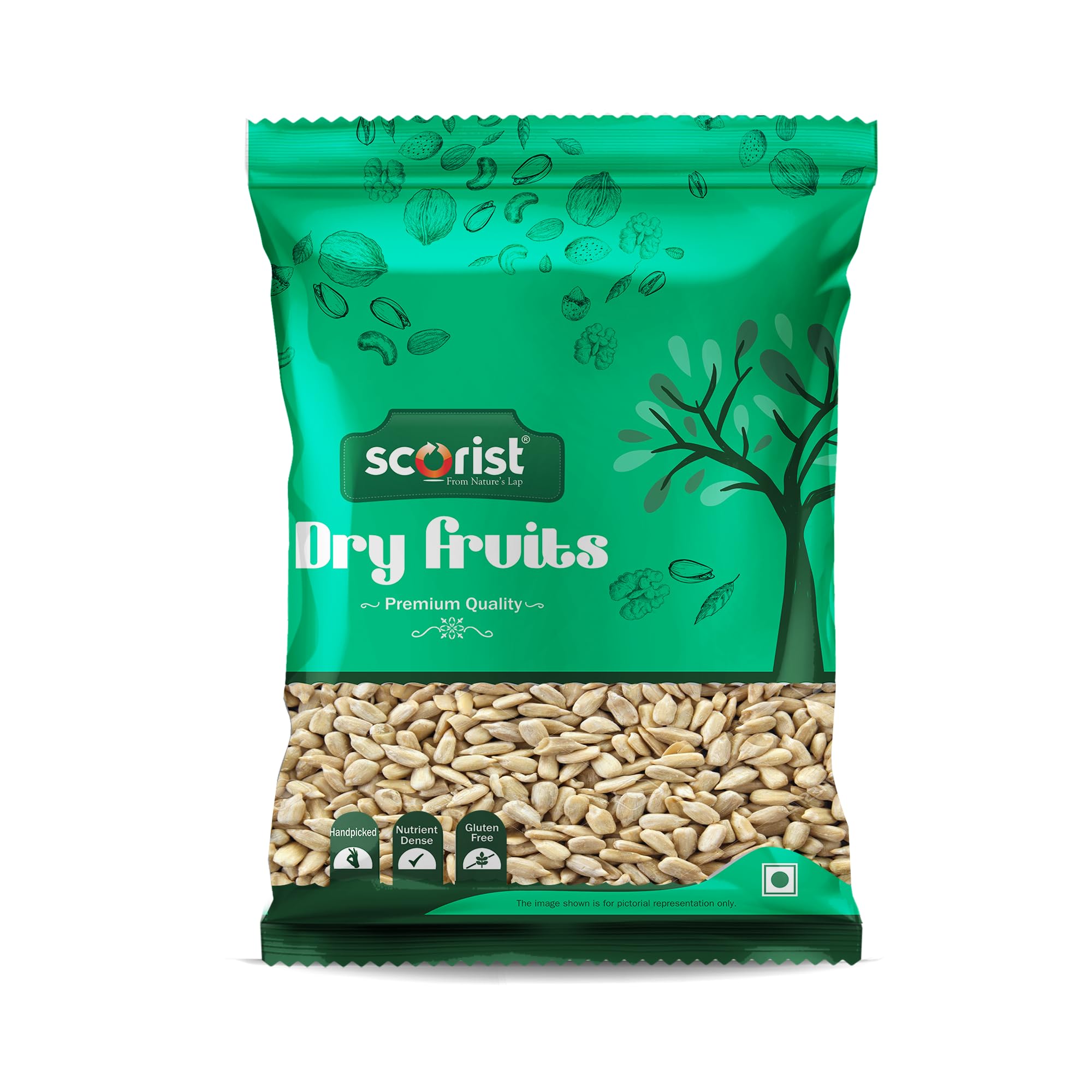Scorist Premium Sunflower Seeds 1Kg I Sunflower Seeds for Eating | Diet Food | Healthy Snack | Raw seeds | Weight manage