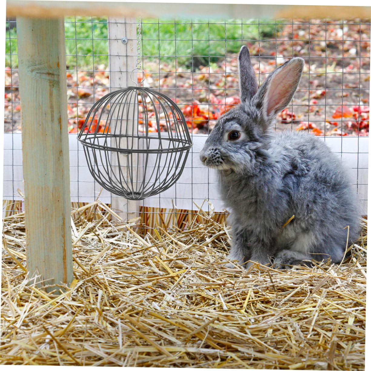 Milisten 4stücke Heuball Futterspender Für Kaninchen Und Nagetiere Hängendes Grasspielzeug Für Hamster Meerschweinchen Chinchillas Und Andere Kleintiere Robuste Konstruktion Für