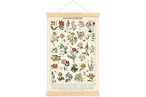 Vintage Wildflowers Poster Botanical Wall Art Prints