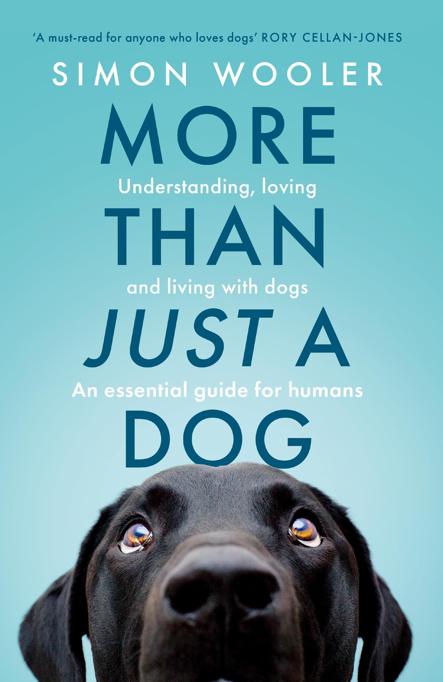 More Than Just a Dog by Simon Wooler (Paperback Book)
