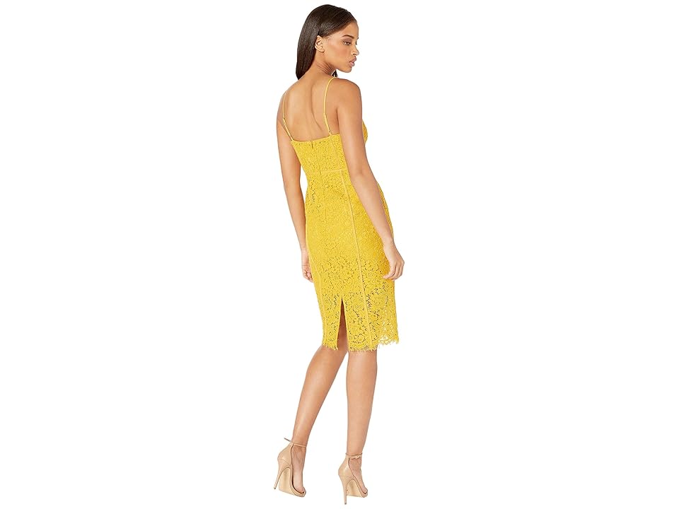 

Bardot Sophia Lace Dress (Mustard) Women's Dress, Yellow